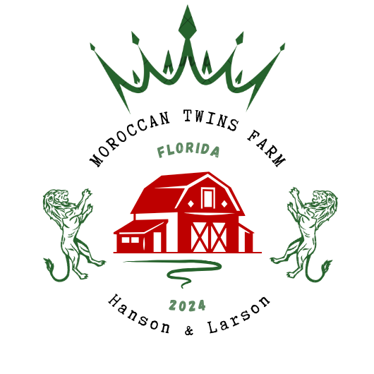 Moroccan Twins Farm