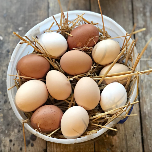 Organic Chicken Eggs