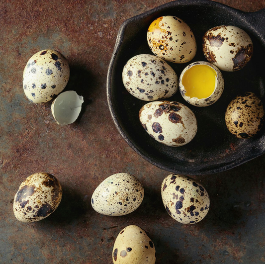 Premium Quail Eggs